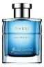 Baldessarini Ambre Eau Fraiche 90 мл, туалетная вода